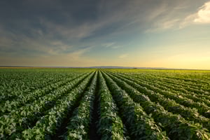 AdobeStock_885084990