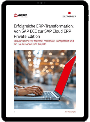 Erfolgreiche ERP Transformation-3