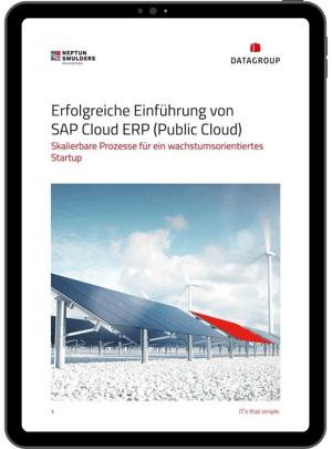 Erfolgreiche Einführung SAP Cloud ERP_Public Cloud-3
