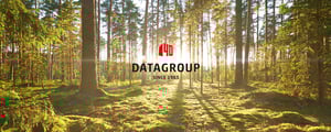Sonnenlicht fällt durch die Bäume eines dichten Waldes, im Zentrum das rote DATAGROUP-Logo mit der Aufschrift „DATAGROUP – Since 1983“.