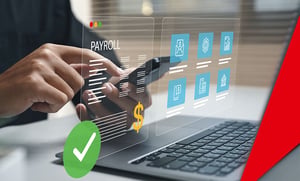 datagroup-payroll-rise-hcm-transformationspfad-Ansatz-1