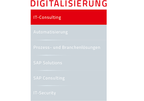 Uebersicht-Digitalisierung_IT-Consulting