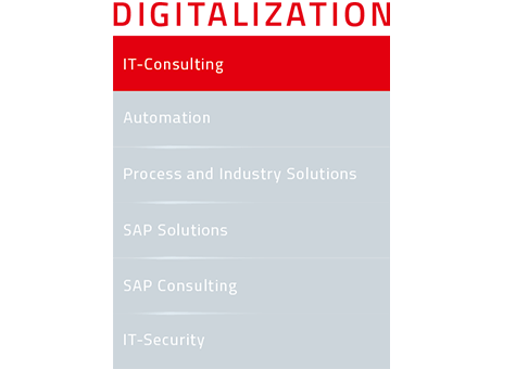 Navigation menu highlighting “IT-Consulting” under the digitalization section on the DATAGROUP website.