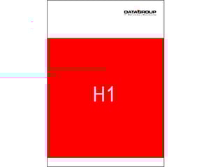 Cover page of the DATAGROUP half-year report with a large red background, white lettering “H1,” and the claim “IT’s that simple.” 