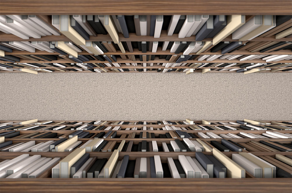Bird's-eye view of bookshelves filled with books forming an aisle – symbolizing archive and information collection.