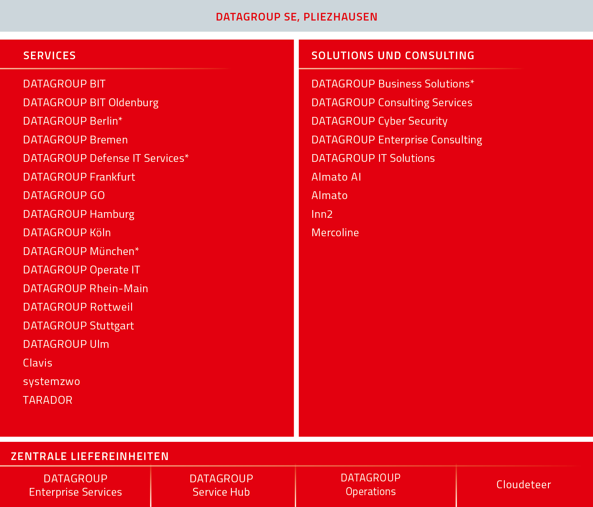 Gesellschaftsstruktur der DATAGROUP SE