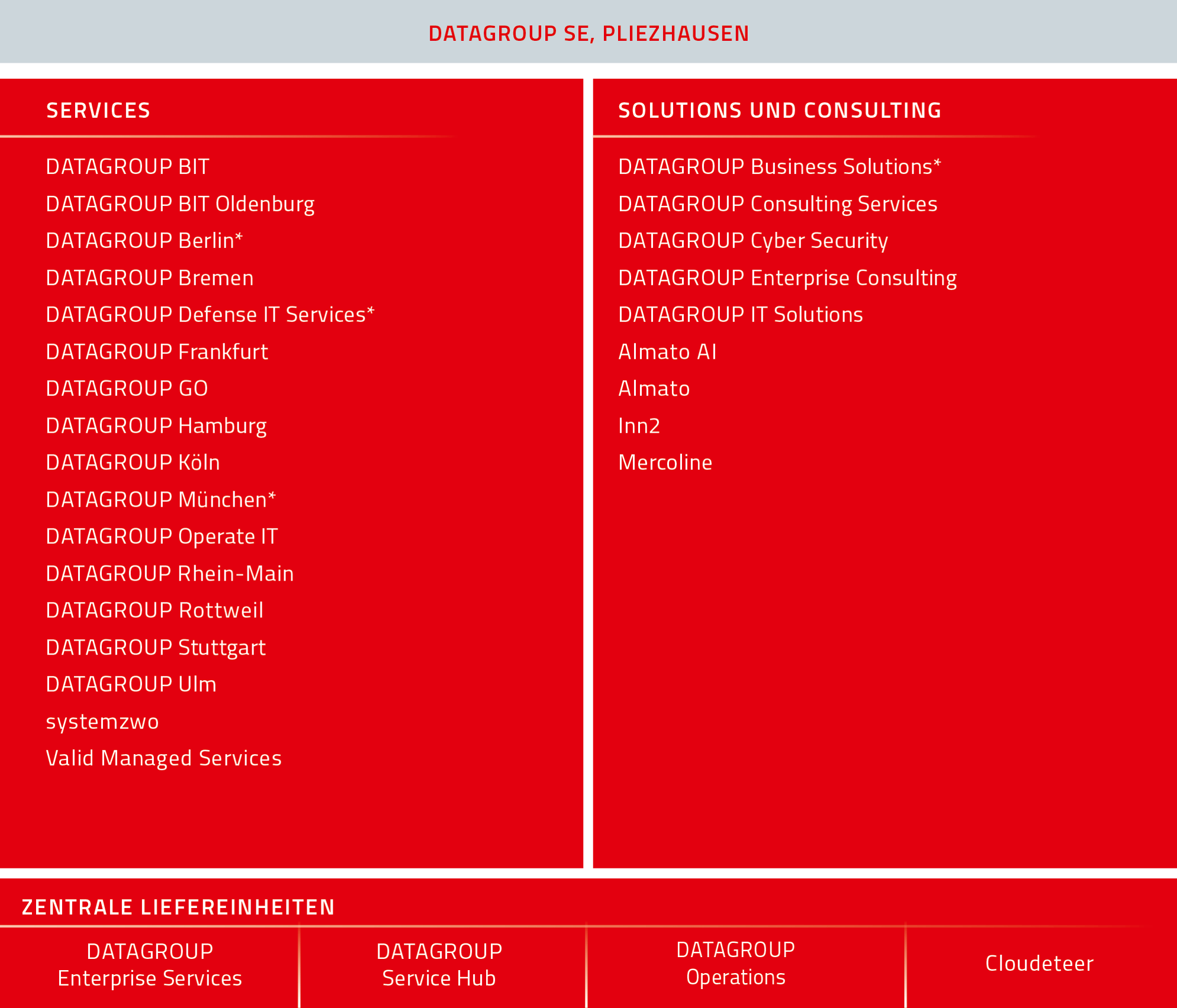 Grafik der DATAGROUP Unternehmensstruktur mit den Bereichen Services, Solutions und Consulting sowie den zentralen Liefereinheiten.