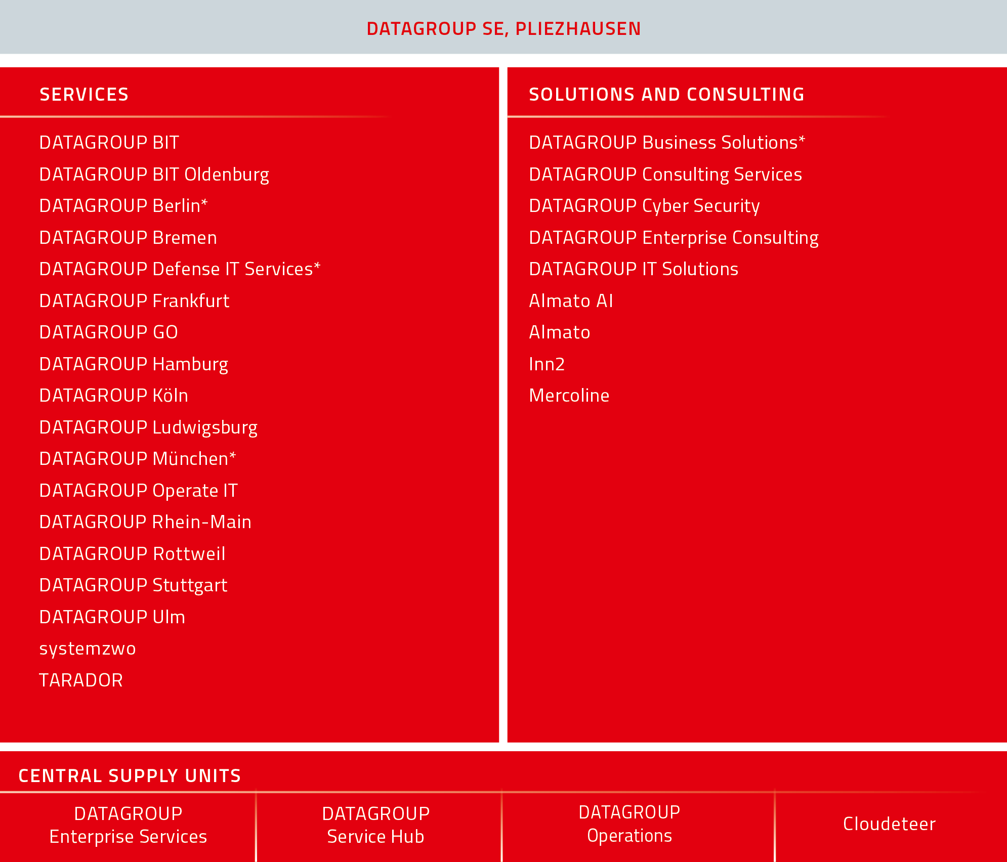 Diagram of the DATAGROUP corporate structure with the Services, Solutions and Consulting divisions and the central delivery units.