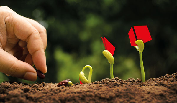 Hand pflanzt Samen, aus denen kleine Pflanzen mit dem DATAGROUP-Logo wachsen.“
Englisch