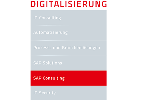 Navigationsübersicht der DATAGROUP-Digitalisierungsleistungen mit hervorgehobener Kategorie ‚SAP Consulting‘.