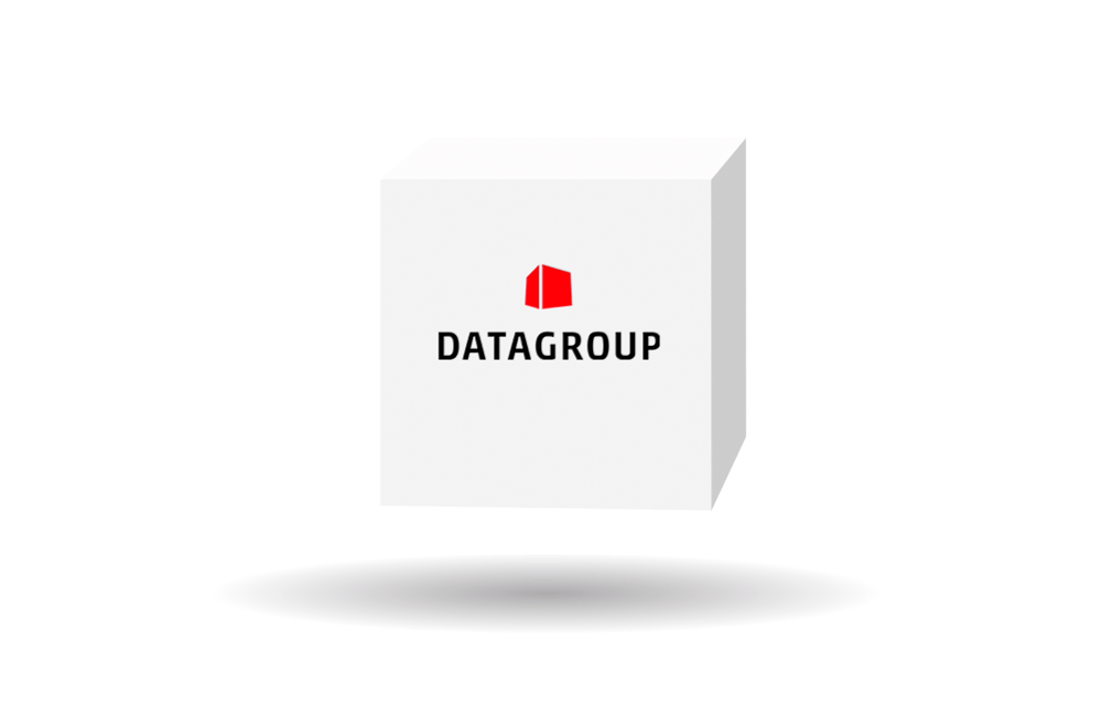 White cube with the red DATAGROUP logo and lettering, hovering over a shadow, symbol for the brand
