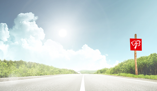 Gerade Landstraße unter blauem Himmel mit Sonne, am rechten Straßenrand ein Schild mit rotem DATAGROUP-Logo.