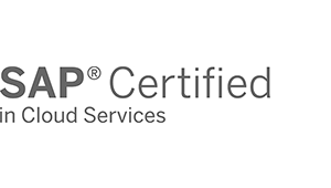 Logo SAP Cloud Services - DATAGROUP Partner