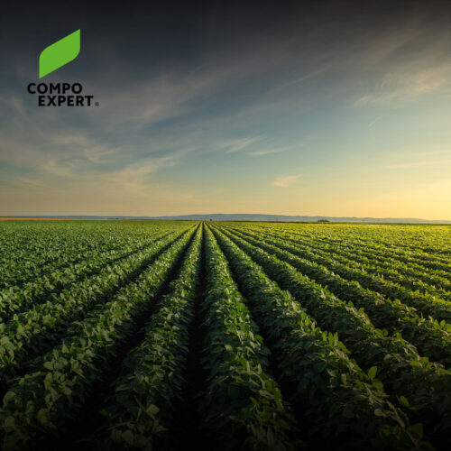Felder Landwirtschaft Compo Expert